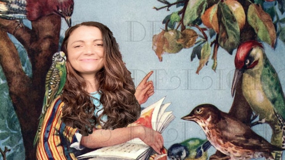 It’s official, I’m a bird-bore with a rock&nbsp;collection!