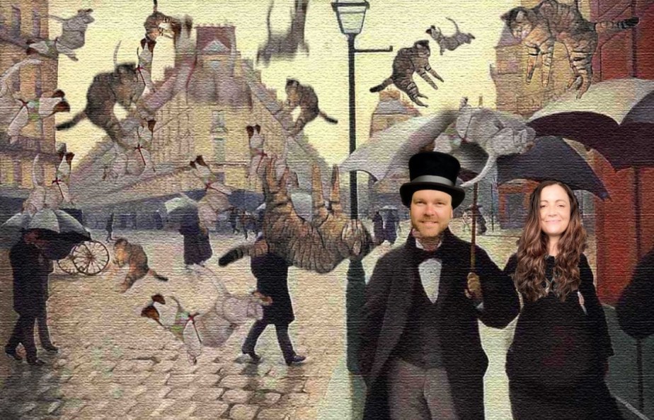 Raining cats and&nbsp;cats